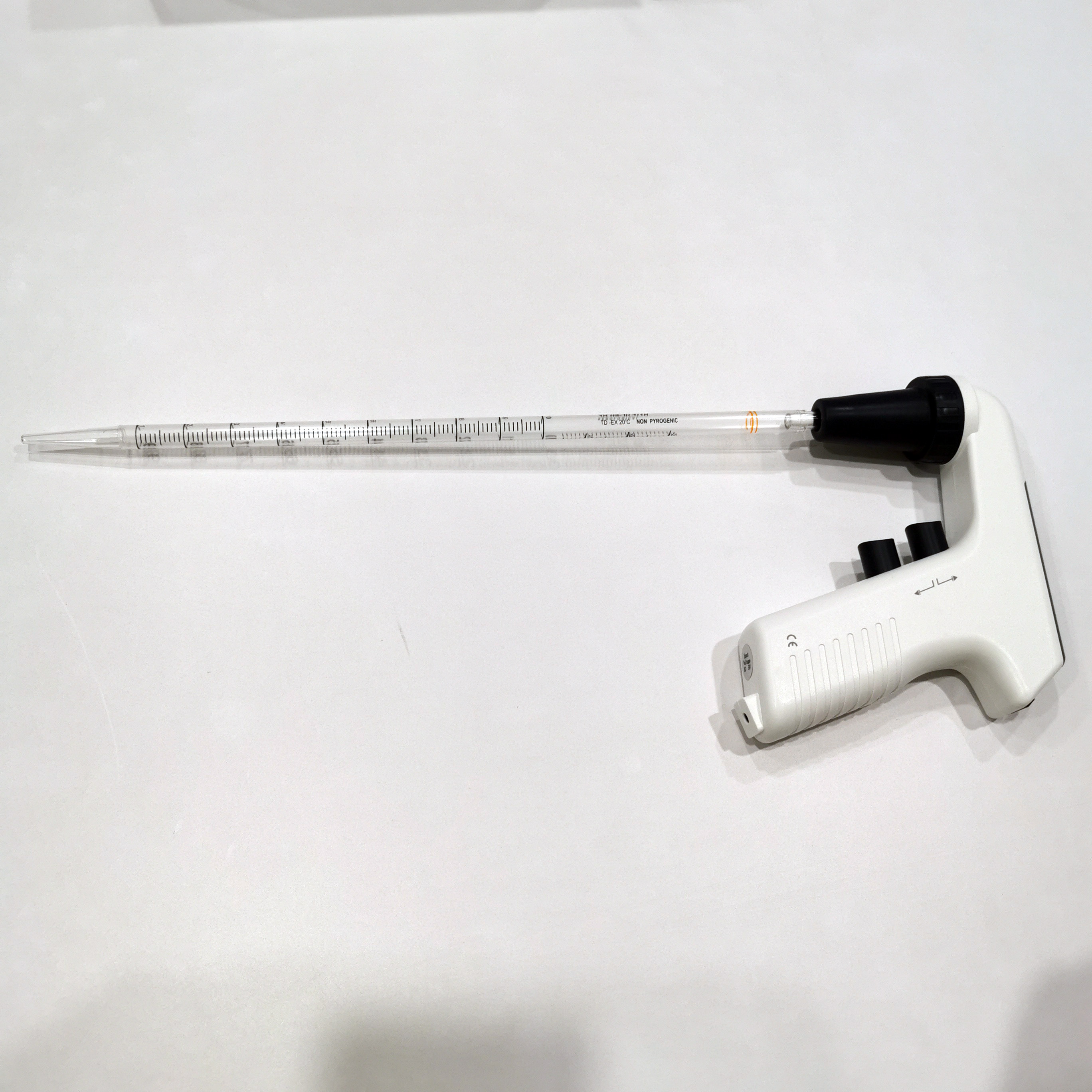 IMG_20220104_111913 IMG_20220104_111913