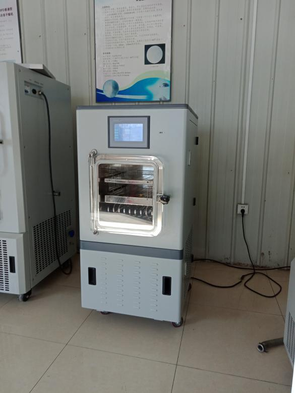LGJ-10FD Standard Type Experimental In-situ Electric-heating Vacuum Freeze Dryer 