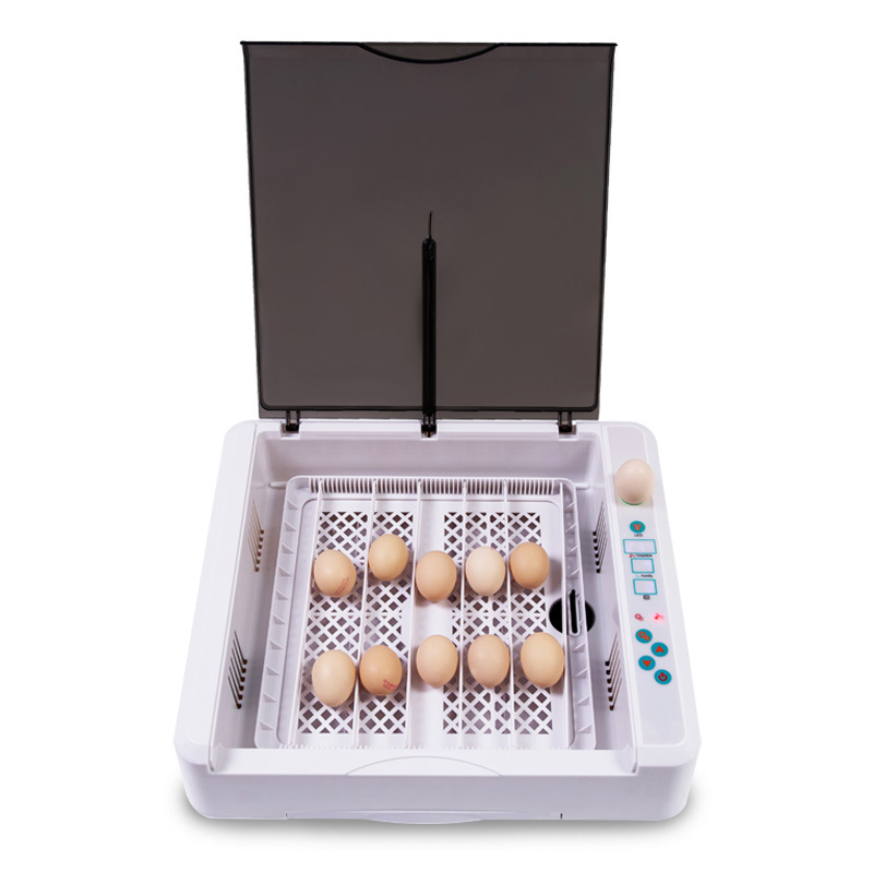 Nade EW-36 Fully automatic home mini incubator 36 eggs capacity