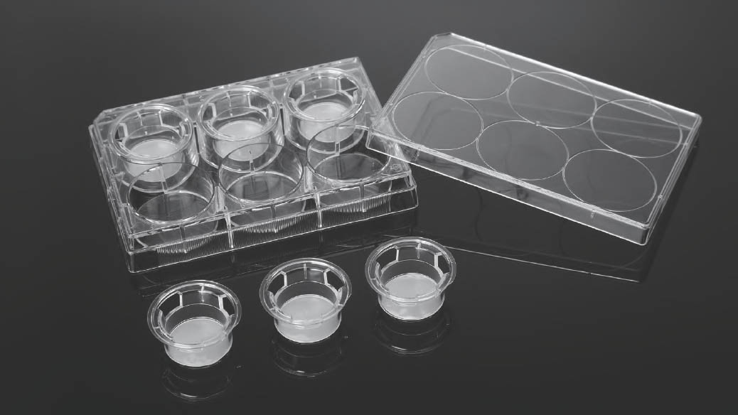 Culture Plate Inserts