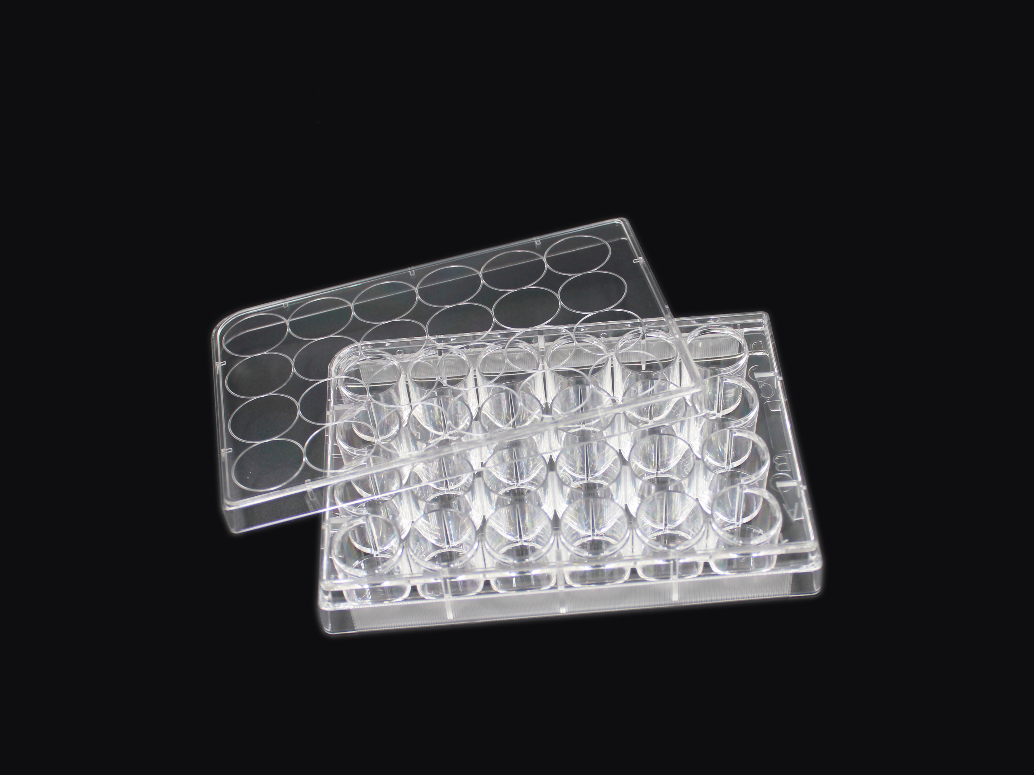 Cell Culture Plate