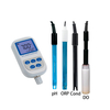 SX751 Portable Portable pH/DO/ORP/Conductivity/TDS/Salinity/Resistivity/Temperature Meter