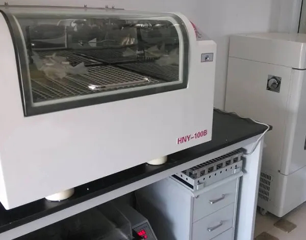 Incubator Shaker HNY-100B