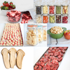 NADE TF-HFD-4 Mini-type Food Vacuum Lyophilizer/freeze drying equipment/freeze dryer