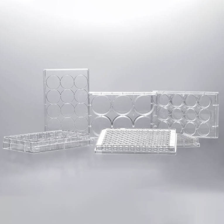 Cell And Tissue Culture Plates(Paper And Plastic Packaging)