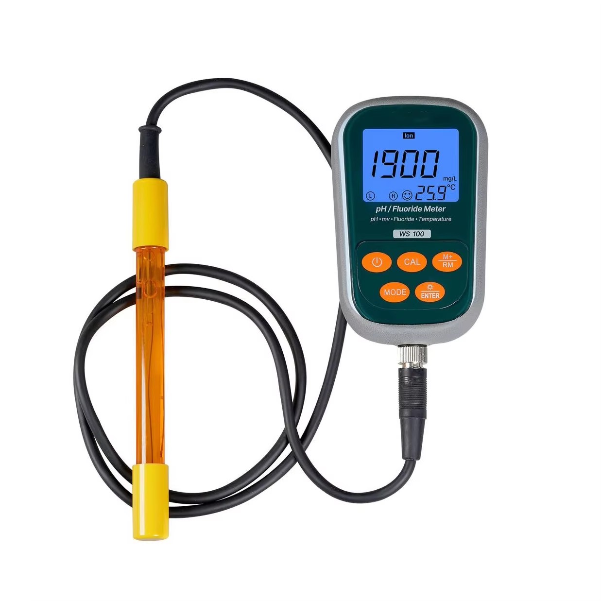 WS100 Portable Fluoride/pH Meter