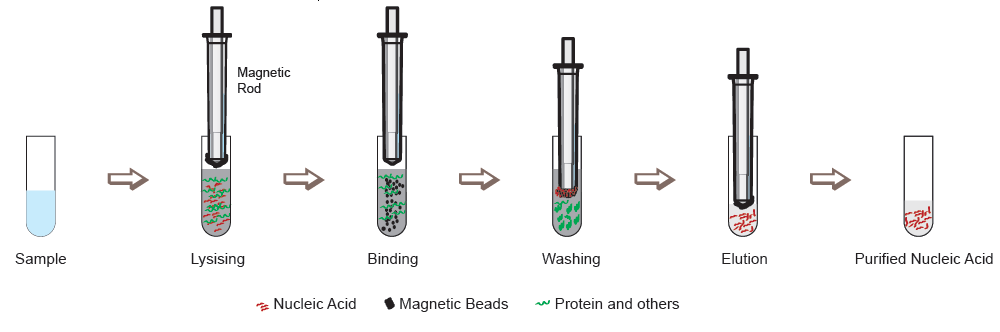 Nade Nucleic Acid Extractor/Nucleic Acid Purification System Auto-Pure32A
