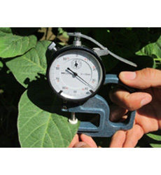 Nade LS-3 Leaf/Blade Thickness Meter measuring range 0--10mm