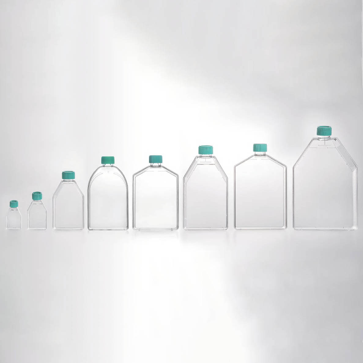 Cell and Tissue Culture Flasks(Non-treated)