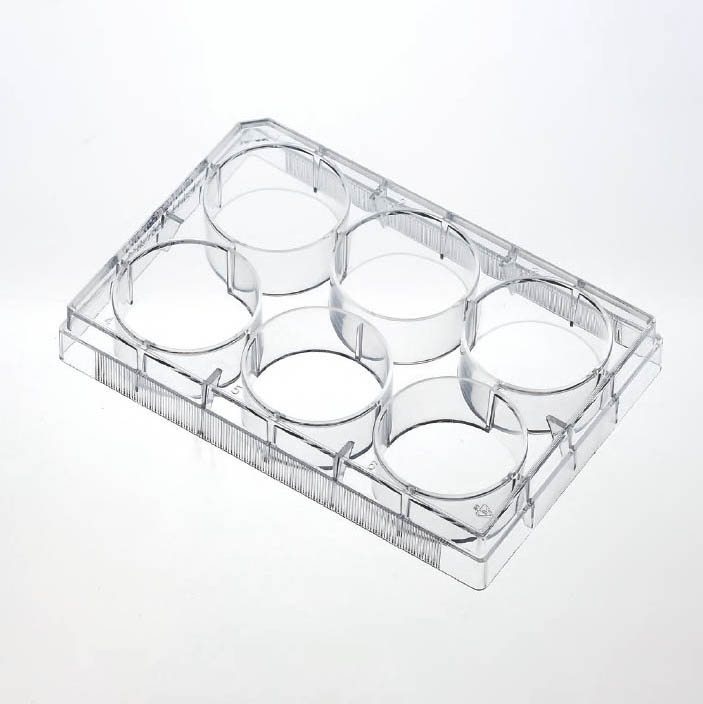 Cell And Tissue Culture Plates(Paper And Plastic Packaging)