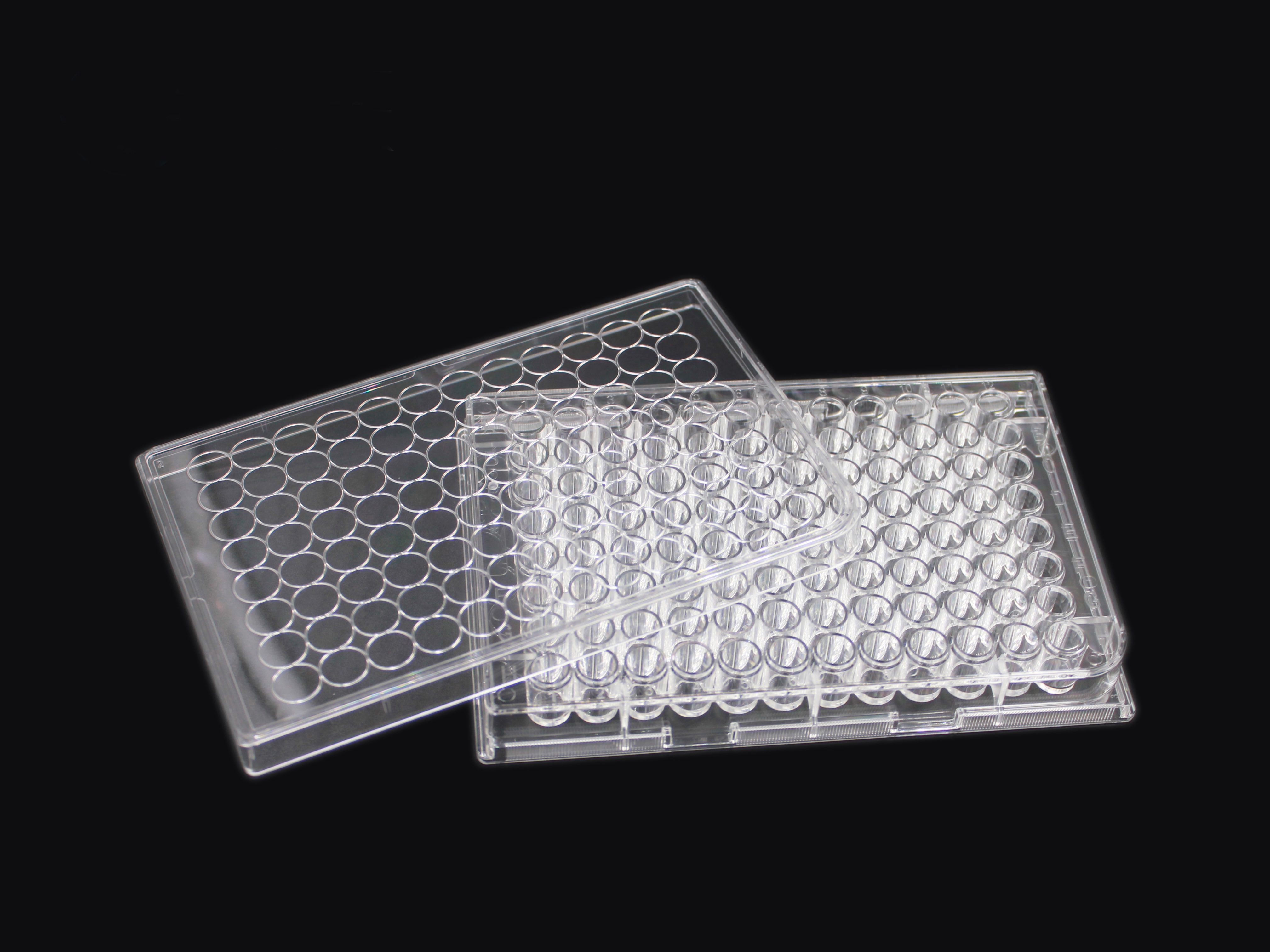 Cell Culture Plate