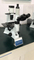Nade Optical Instruments Inverted Fluorescent Biological Microscope NIB-100