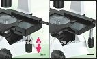 Nade Inverted microscope electronic microscope camera NIB-100