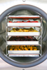 NADE TF-HFD-6 In-Situ Minitype Lyophilizer/freeze drying equipment/freeze dryer for foods, biological products, chemical product