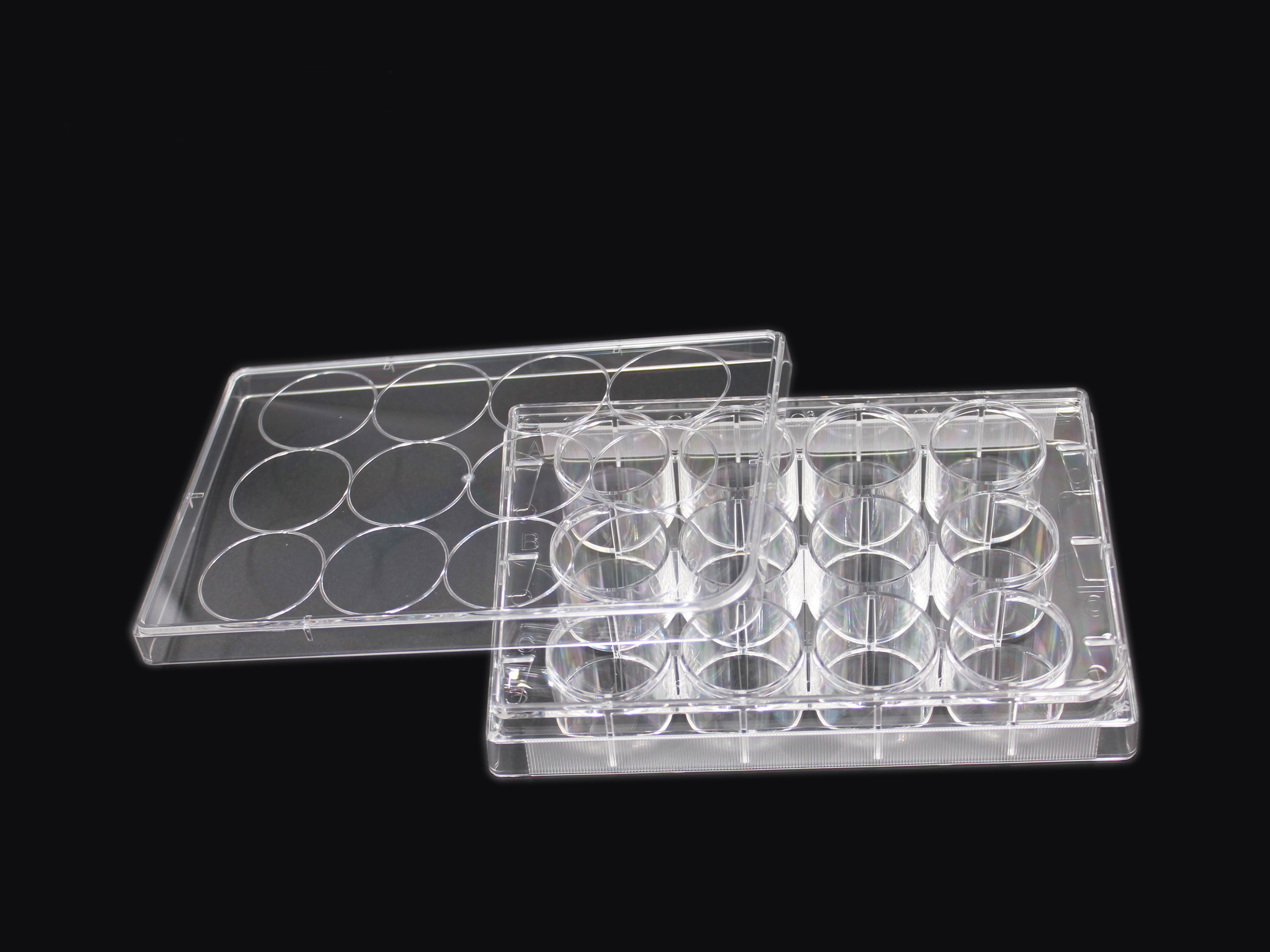 Cell Culture Plate